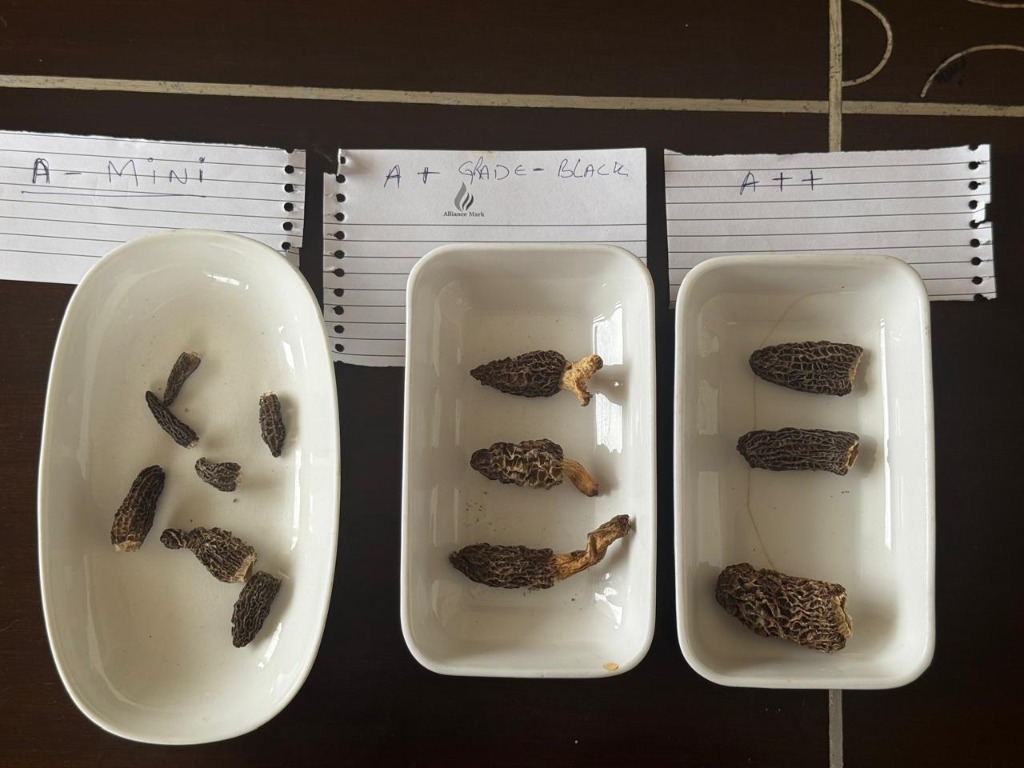 Actual Morel Mushroom Grade Inspection Dish A-Mini, A+ Grade-Black, A++