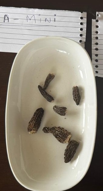 Grade-A Mini sorting inspection dish